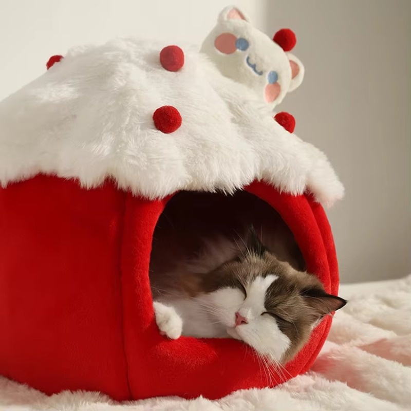 Rumah Gua Kucing Bergaya Musim - Sustainable Living House ulasan dan harga